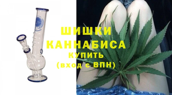 крисы Верхний Тагил
