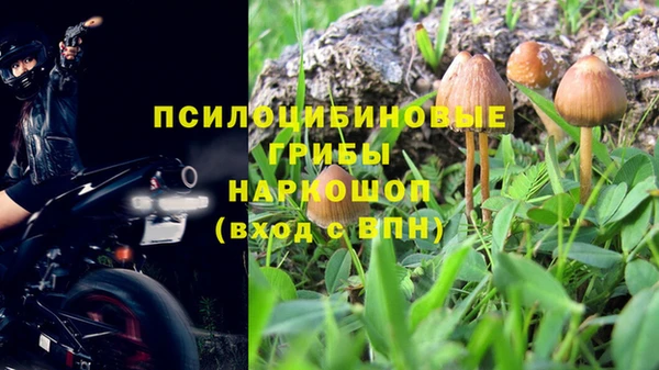 крисы Верхний Тагил