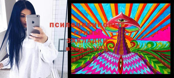 крисы Верхний Тагил