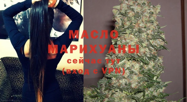 индика Верея