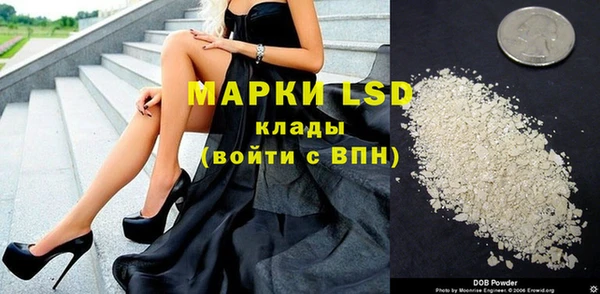 крисы Верхний Тагил