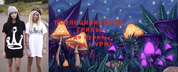 индика Верея