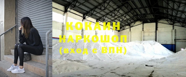 индика Верея