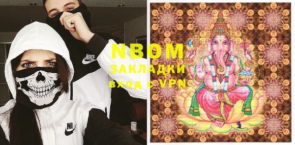индика Верея