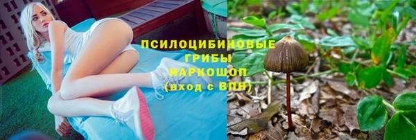 крисы Верхний Тагил