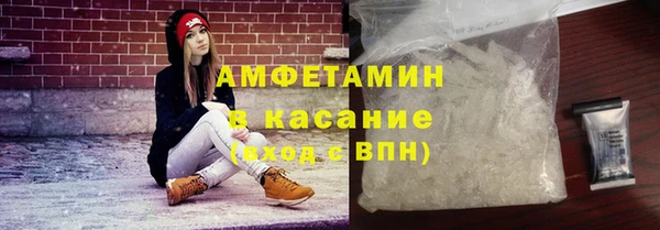 индика Верея