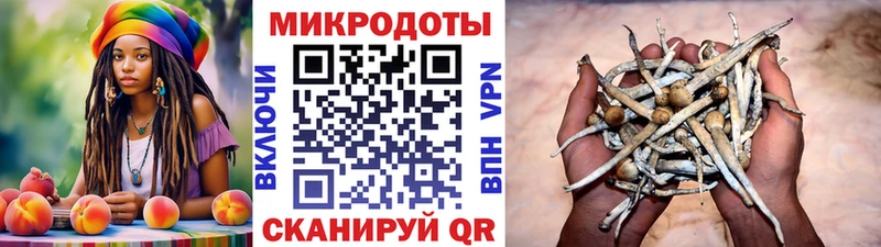 магазин продажи   Пушкино  Псилоцибиновые грибы ЛСД 